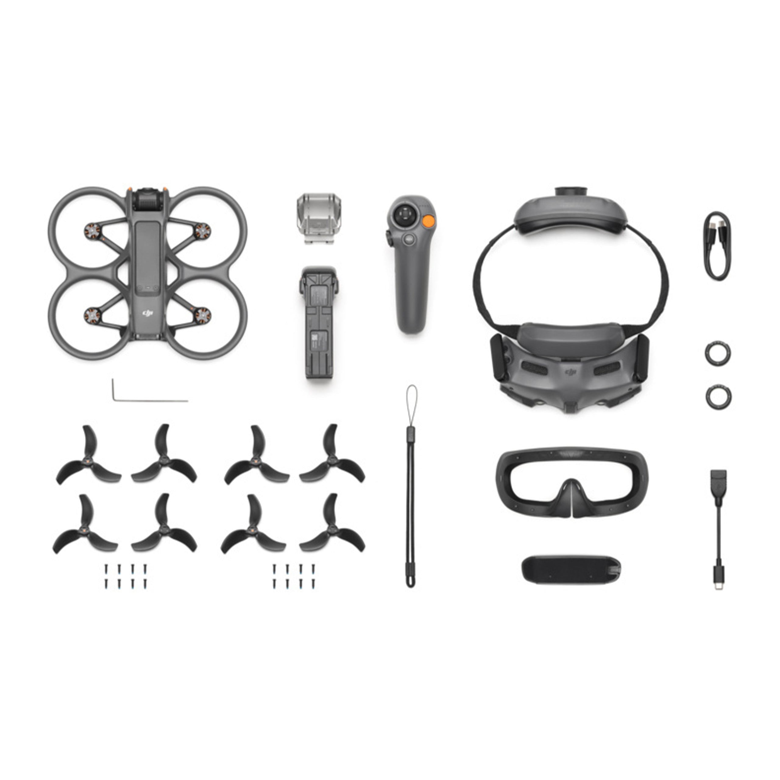 DJI Avata 2 komplettes Set Fly More mit Googles sowie Motion Controller RC 3 Setinhalt von oben